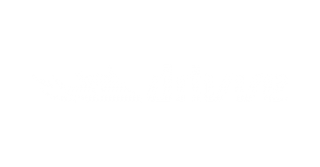 Drivve